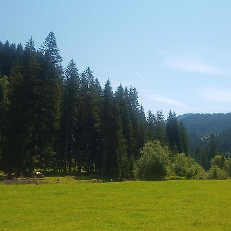 Haus Daire Lungötz Dış mekan fotoğraf